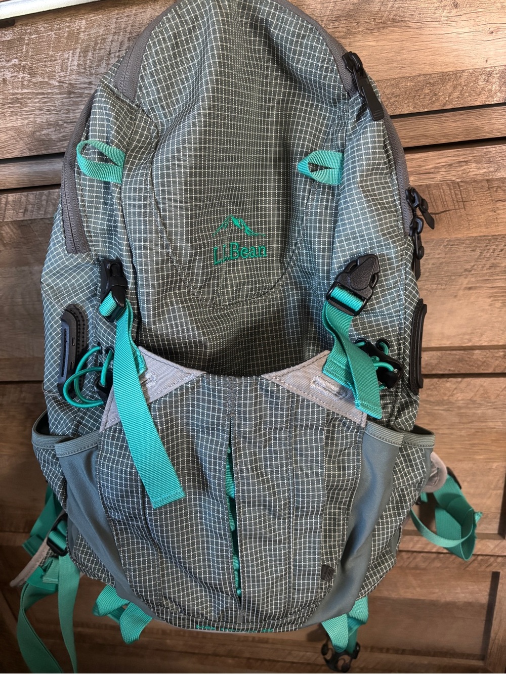 LL Bean Day Trekker 20
